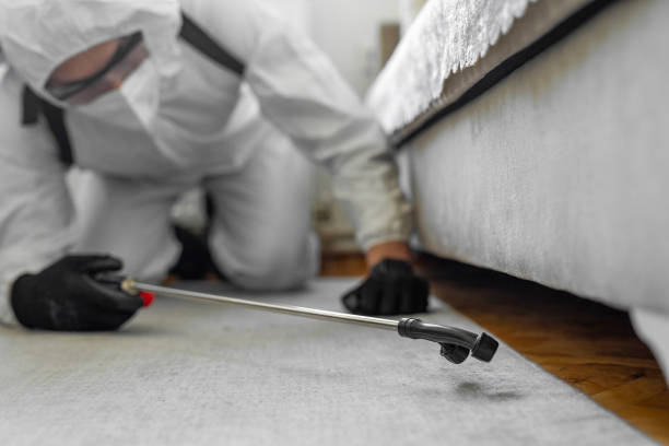 Professional Bed Bug Control technician working in Madison, WI