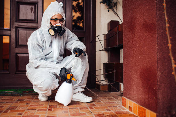 Reliable Bed Bug Control contractor in Madison, WI by Nex Pest Control